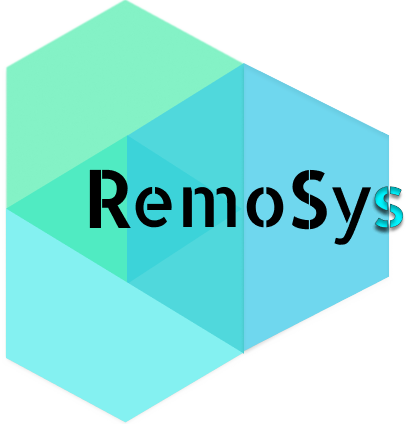 Remosysinfosystems Logo